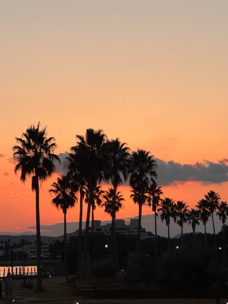 福岡市東区 解体