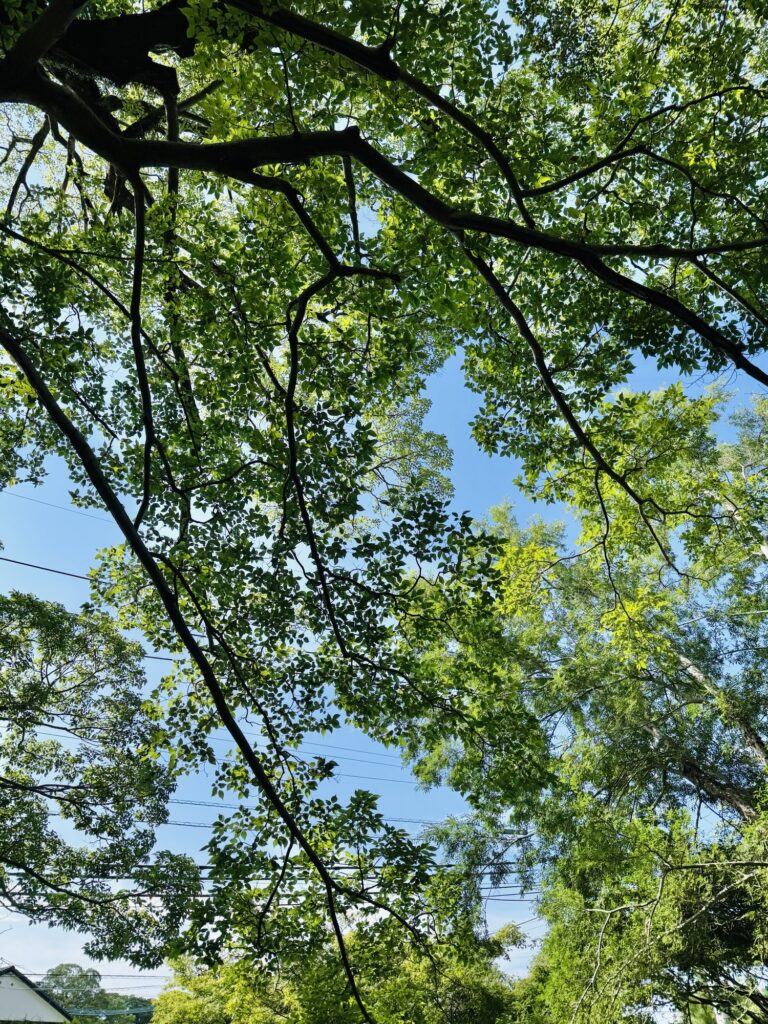 新年の挨拶 エコゼット株式会社